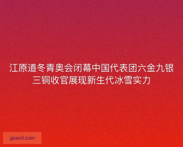 江原道冬青奥会闭幕中国代表团六金九银三铜收官展现新生代冰雪实力
