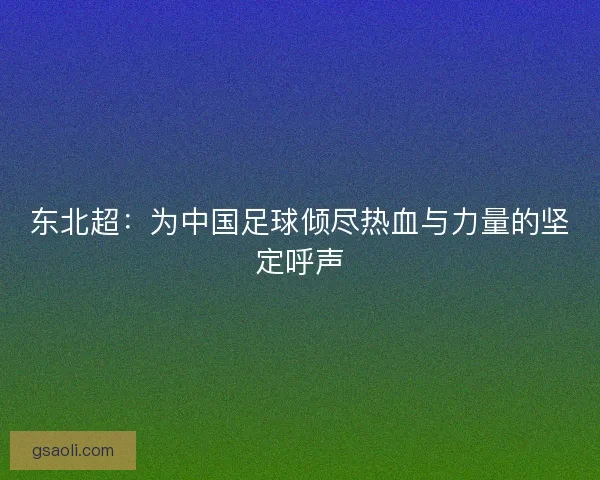 东北超：为中国足球倾尽热血与力量的坚定呼声