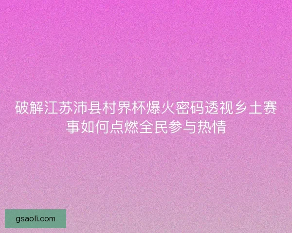 破解江苏沛县村界杯爆火密码透视乡土赛事如何点燃全民参与热情