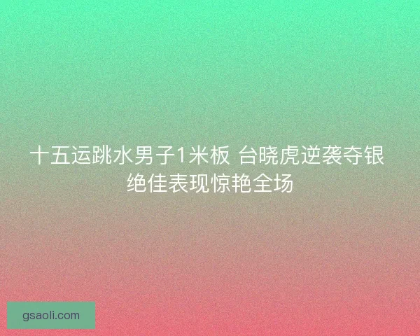 十五运跳水男子1米板 台晓虎逆袭夺银 绝佳表现惊艳全场